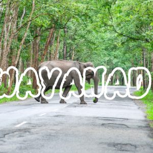 WAYANAD